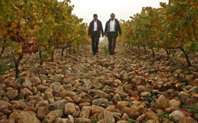 Congratulations La Rioja Alta awarded #4 on The Wine Spectator Top 100 for 2018