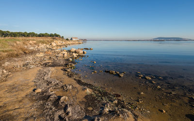 A Picpoul Revolution with Claude Jourdan of Domaine Félines Jourdan