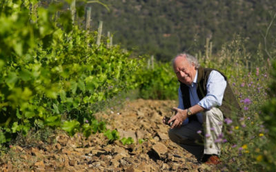 Trading the nomadic life of a wine merchant for that of a vigneron: Christopher Cannan of Clos Figueras