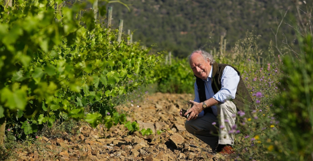 Trading the nomadic life of a wine merchant for that of a vigneron: Christopher Cannan of Clos Figueras