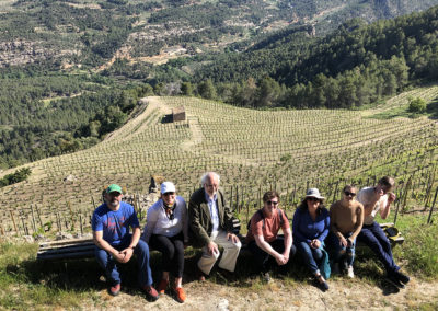 Vineyard at Clos Figueras