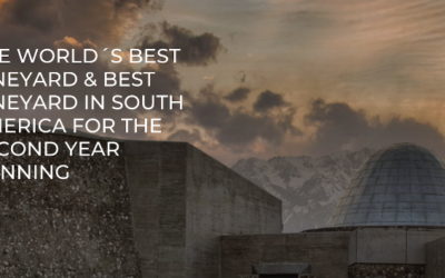 World’s Best Winery & Vineyard in the World (again)… it’s Zuccardi!