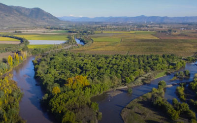 Viña Maquis: A unique expression from between two rivers