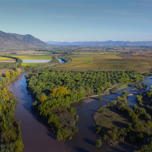 Viña Maquis: A unique expression from between two rivers