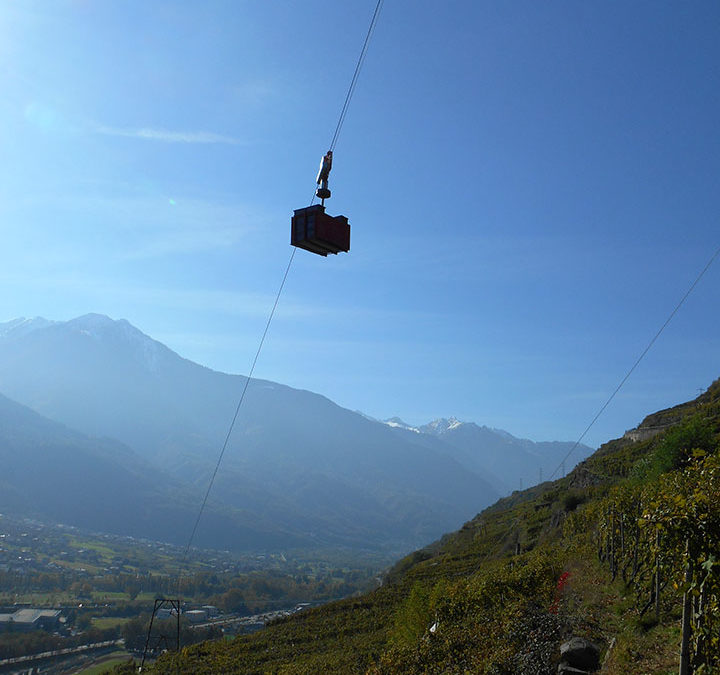 Nebbiolo’s Aerial Act