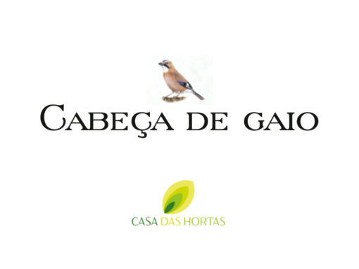 Casa das Hortas | Cabeça de Gaio