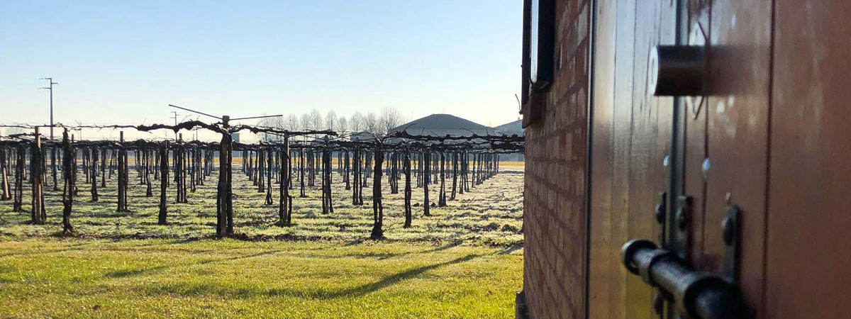 paltrinieri-header